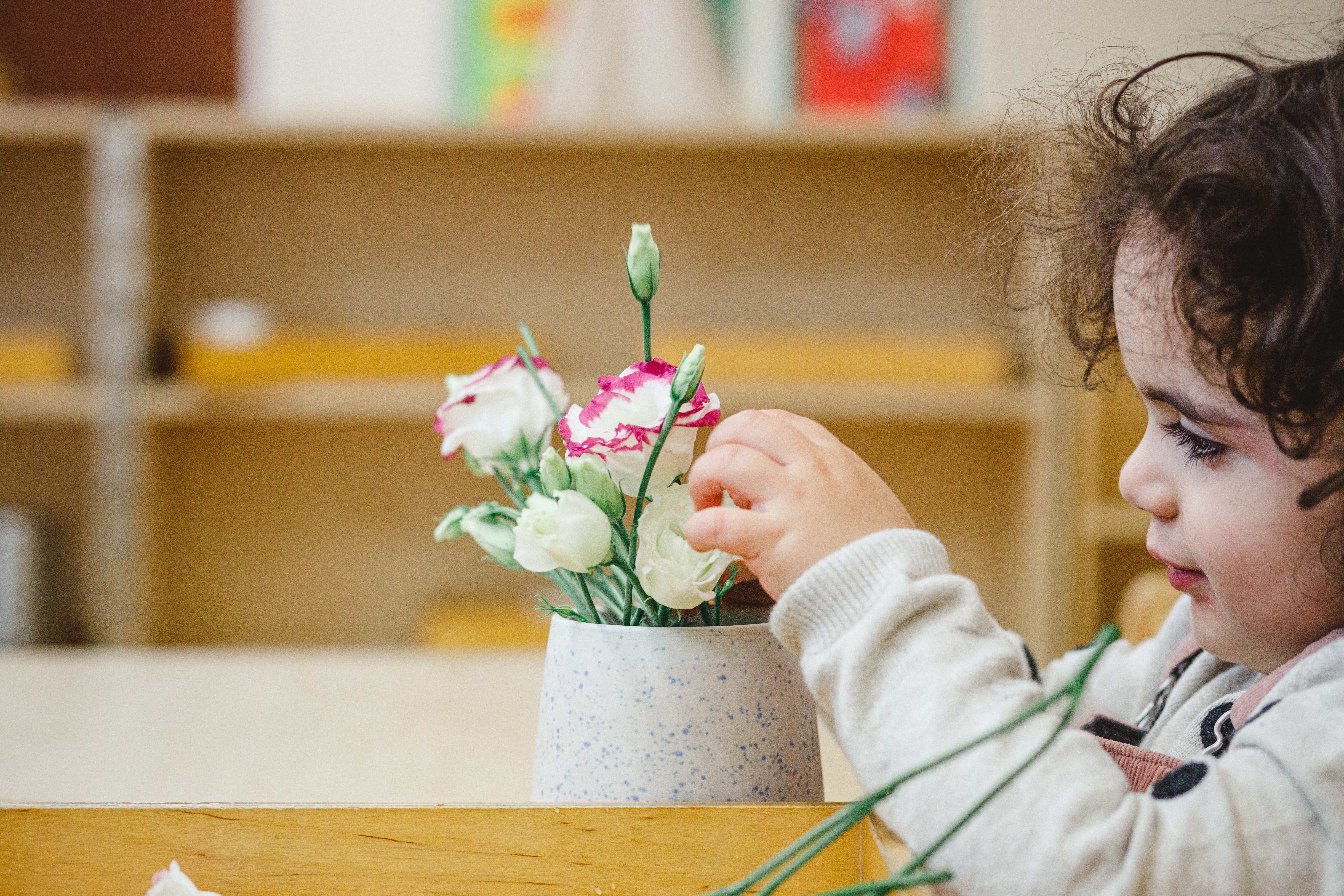 Paint Pots - The Grove